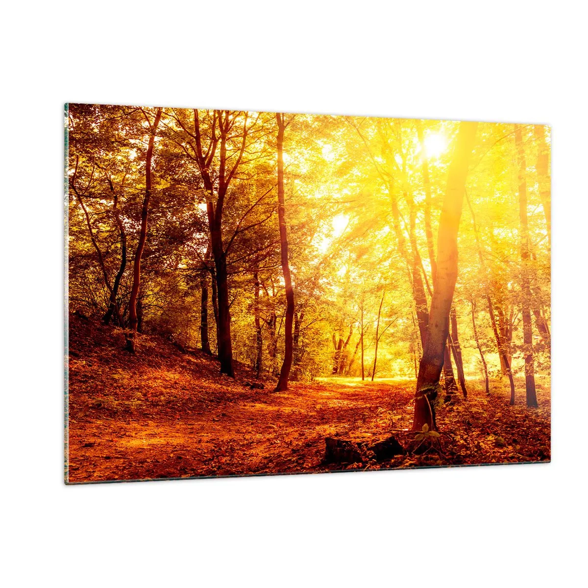 Quadro su vetro - Foresta autunnale illuminata dal caldo bagliore del sole - 120x80cm - Verso la radura dorata - Decorazione murale moderna per soggiorno e camera da letto ARTTOR