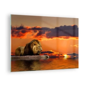Quadro su vetro - Un leone sullo sfondo del sole al tramonto - 70x50cm - Il re della natura - Decorazione murale moderna per soggiorno e camera da letto ARTTOR