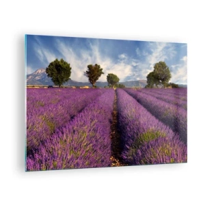 Quadro su vetro - Un campo di lavanda con alberi e uno sfondo di montagne - 70x50cm - Campi di lavanda - Decorazione murale moderna per soggiorno e camera da letto ARTTOR