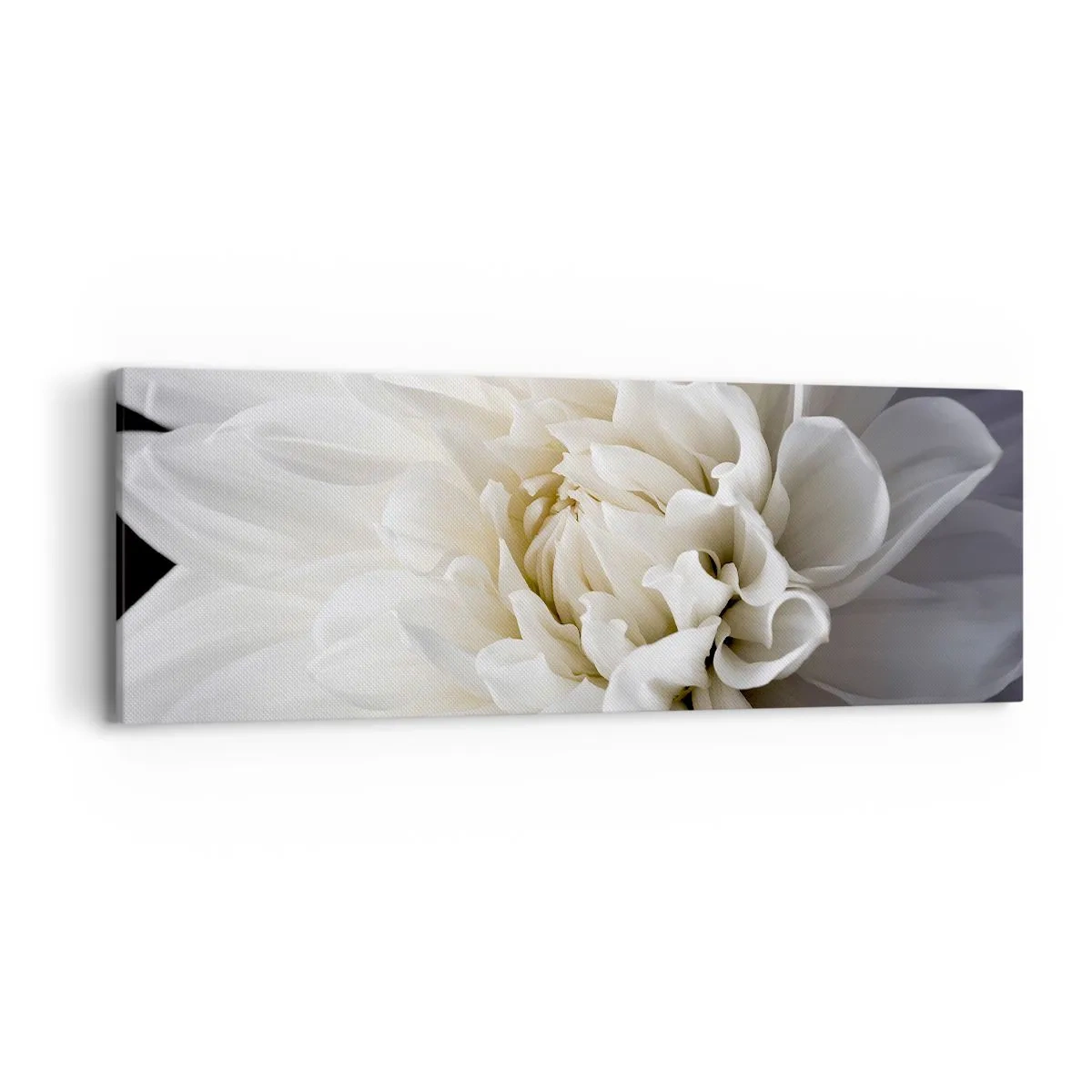 Quadro su tela - Stampe su Tela - Il mattino della sposa - 90x30 cm