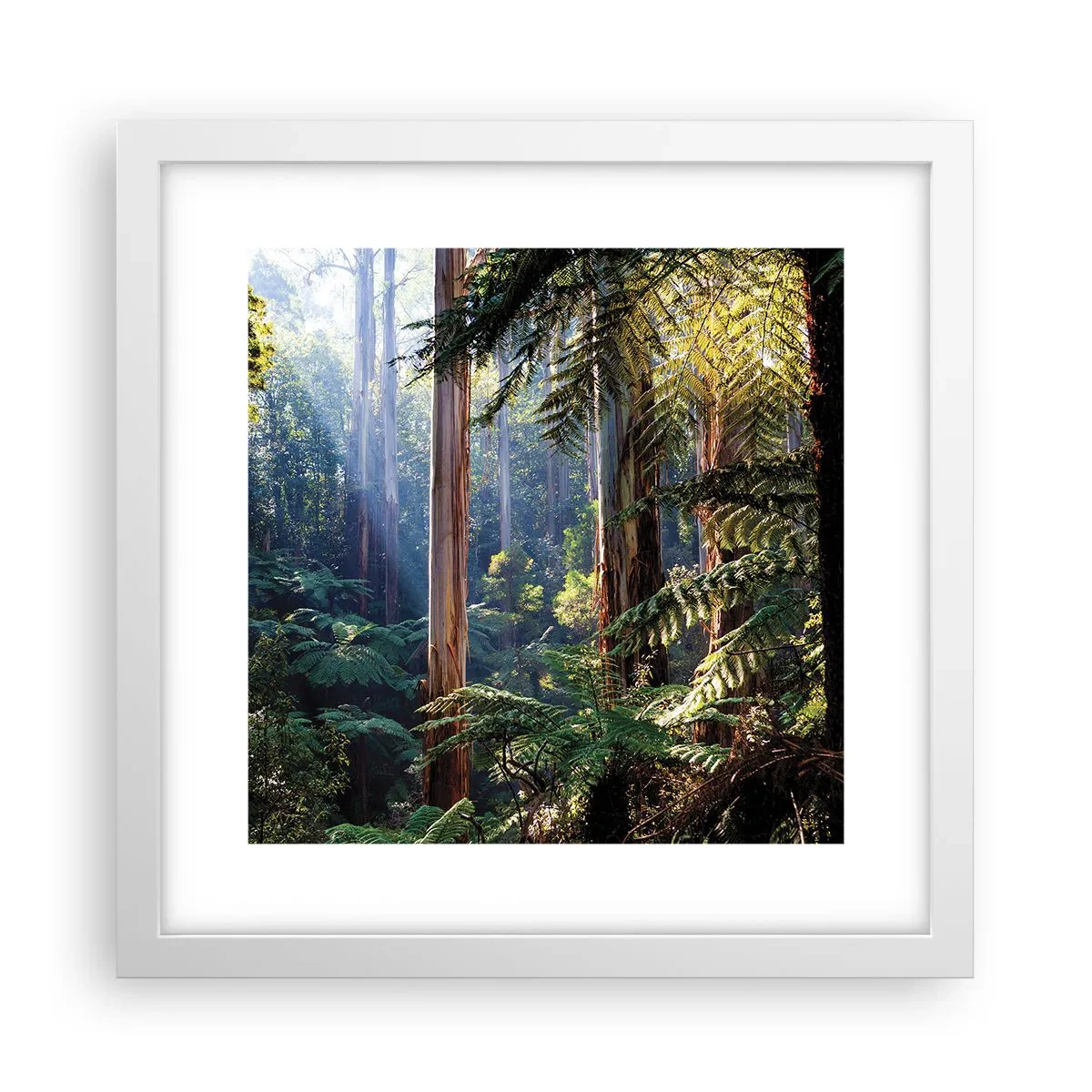 Poster in cornice bianca - La favola del bosco - 30x30 cm