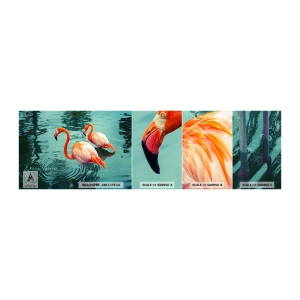 Campione di Fotomurale Adesivo Deluxe Sticker - Adesso siamo di moda - Fenicotteri, Uccelli, Natura - 100x30 cm