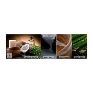 Campione di Fotomurale Premium Sand - Salute dalle isole tropicali - Noce di cocco, Terme, Olio di cocco - 100x30 cm