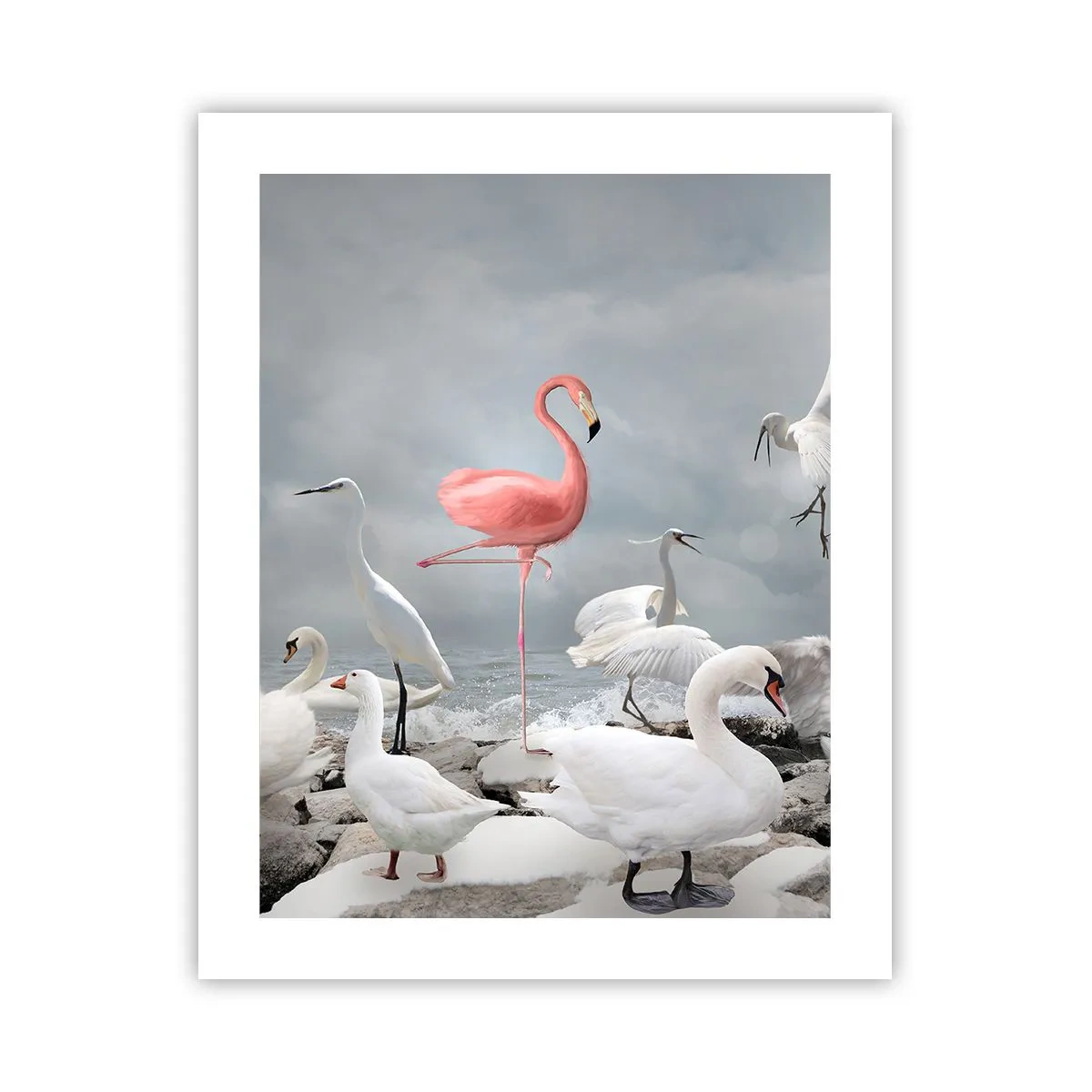 Poster - Come sono arrivato qui? - 40x50 cm