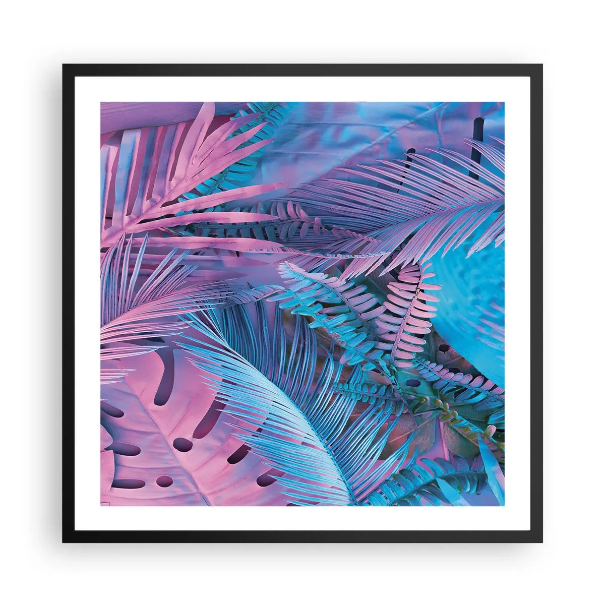 Poster in cornice nera - Tropici in rosa e blu - 60x60 cm