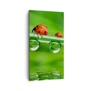 Quadro su tela - Stampe su Tela - In cammino per tutta l'estate - 55x100 cm