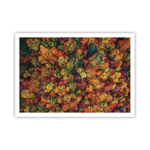 Poster - Chiome di alberi colorati nella tavolozza autunnale - 100x70cm - Il bouquet degli alberi d'autunno - Decorazione murale moderna per soggiorno e camera da letto ARTTOR