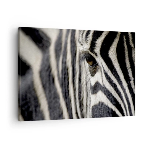 Quadro su tela - Stampe su Tela - Primo piano dell'occhio di una zebra con strisce bianche e nere - 70x50cm - Ritratto a strisce - Decorazione murale moderna per soggiorno e camera da letto ARTTOR