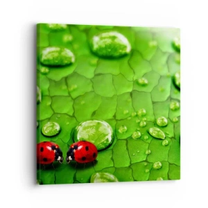 Quadro su tela - Stampe su Tela - Incontro in verde - 30x30 cm