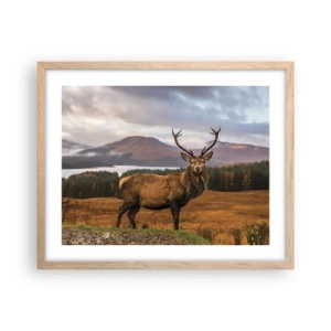 Poster in cornice rovere chiaro - Maestà della natura - 50x40 cm