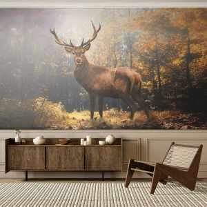 Fotomurali Standard Eco - Un maestoso cervo in una foresta autunnale illuminata dalla luce del sole - 100x70cm - Nella piena maestà - Decorazione murale moderna per soggiorno e camera da letto ARTTOR