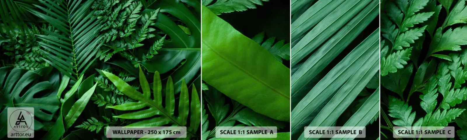 Campione Di Fotomurale Standard Eco - Avvolti nel verde - Pianta esotica, Foglia di palma, Foglia di Monstera - 100x30 cm