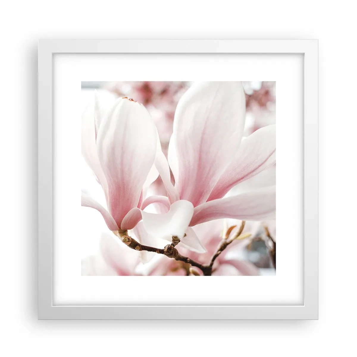 Poster in cornice bianca - Tenerezza senza fine - 30x30 cm