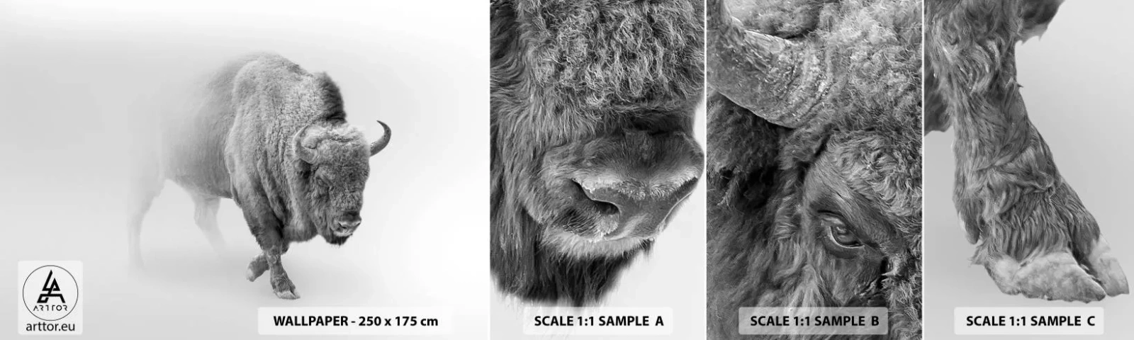 Campione di Fotomurale Adesivo Deluxe Sticker - Il re della prateria - saggio, Animali, Bisonte - 100x30 cm