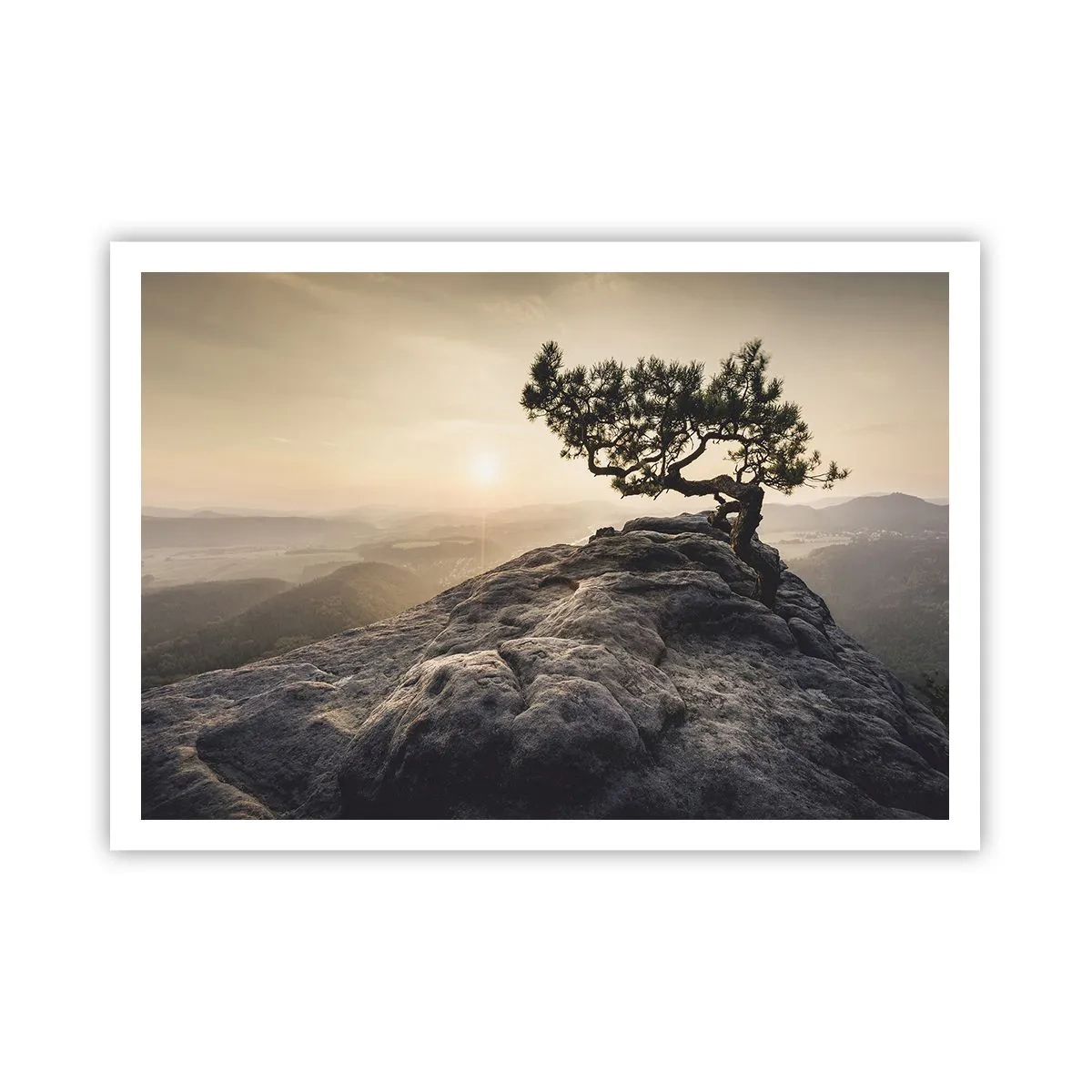 Poster - Un albero solitario su una cima rocciosa alla luce del sole - 100x70cm - La vita vince sempre - Decorazione murale moderna per soggiorno e camera da letto ARTTOR