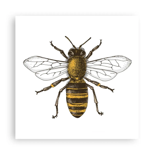 Poster - Bella e buona - 60x60 cm