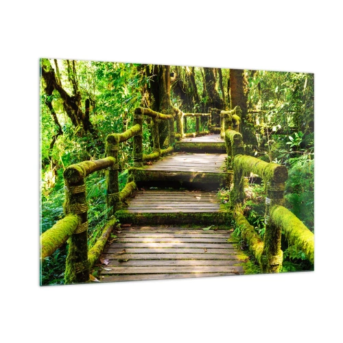 Quadro su vetro - Un sentiero di legno in una foresta verde ricoperta di muschio - 100x70cm - Un corridoio nel verde - Decorazione murale moderna per soggiorno e camera da letto ARTTOR