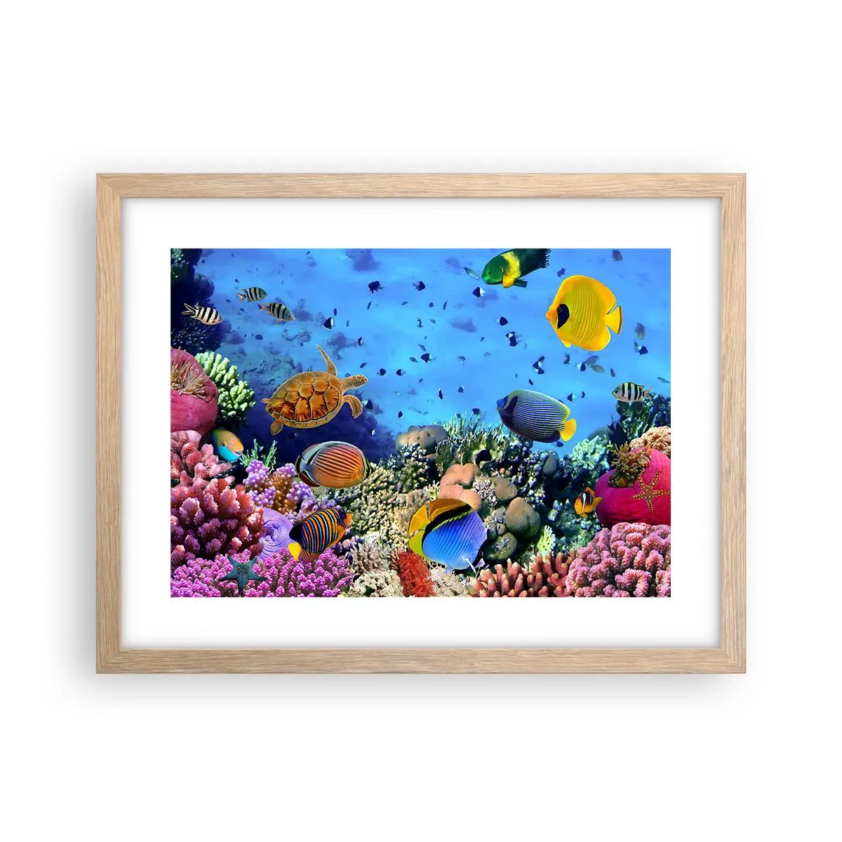 Poster in cornice rovere chiaro - Ma cosa sappiamo della vita... - 40x30 cm