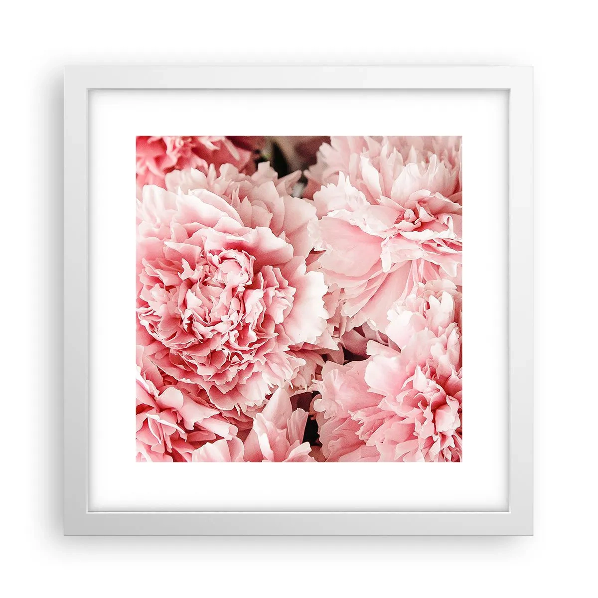 Poster in cornice bianca - Sogno rosa - 30x30 cm