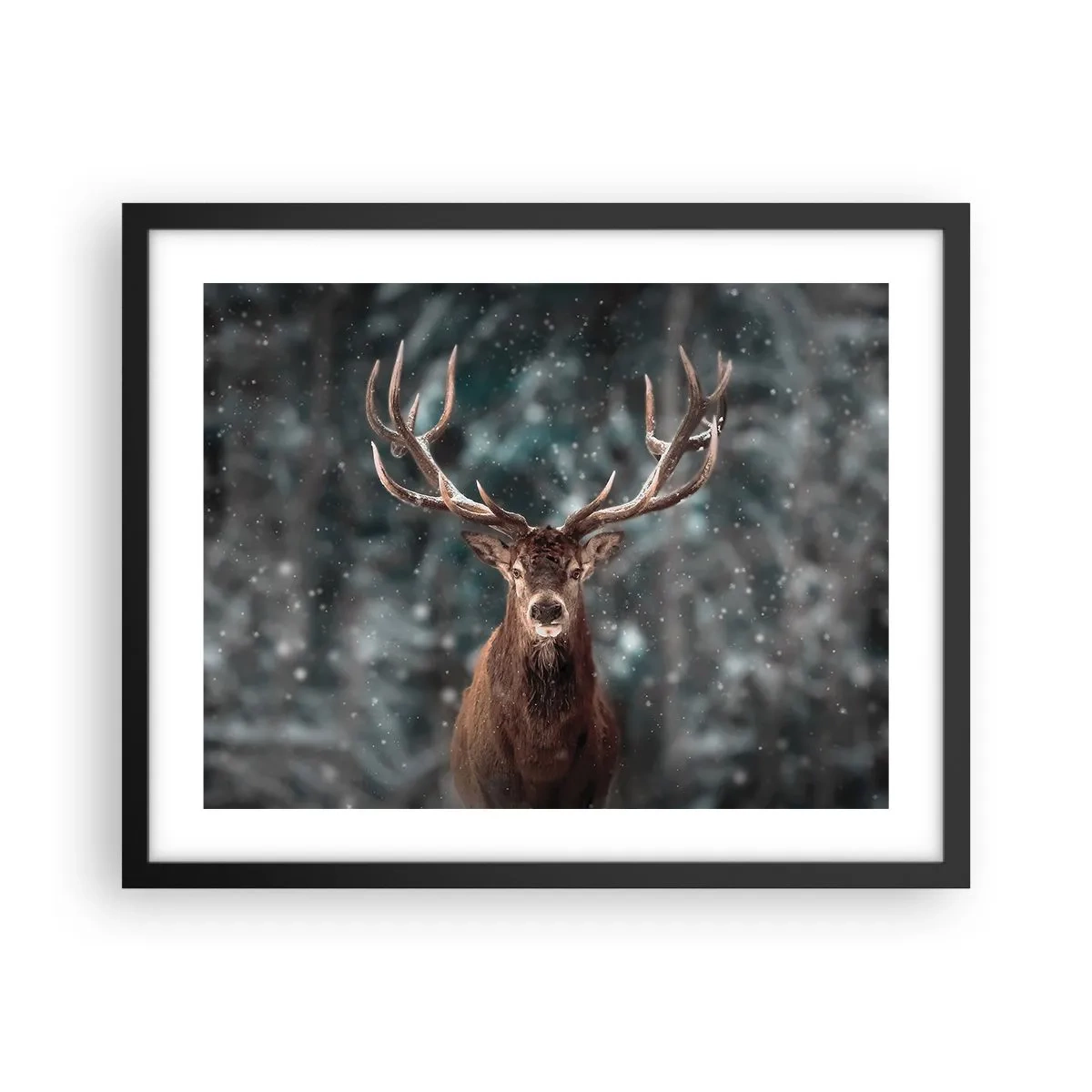 Poster in cornice nera - Il re del bosco incoronato - 50x40 cm