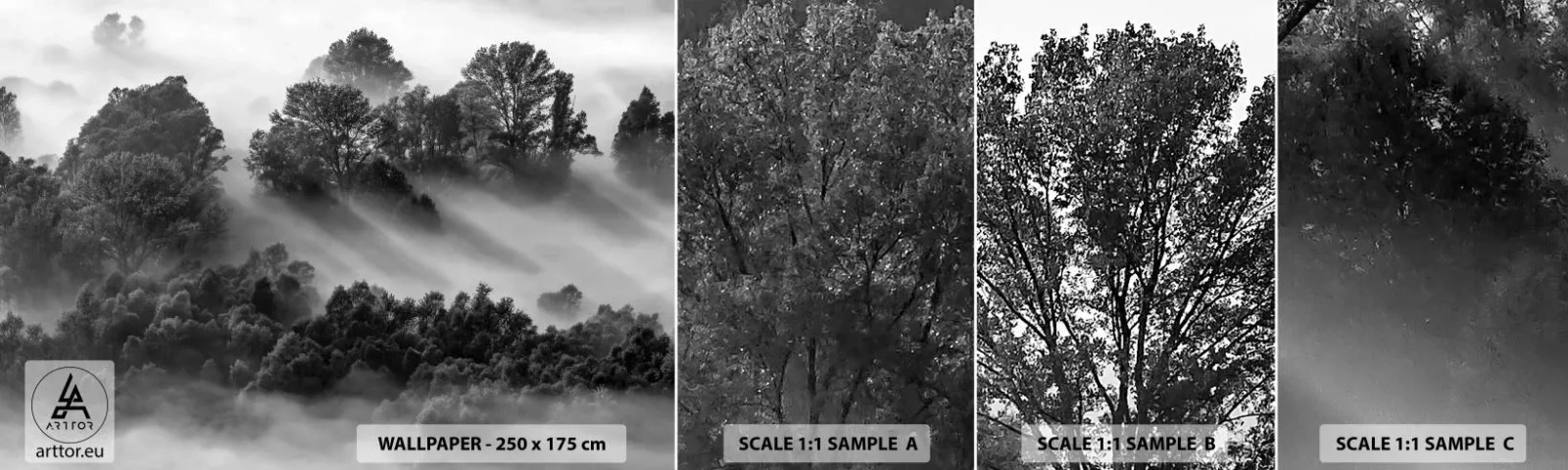 Campione di Fotomurale Adesivo Deluxe Sticker - Risveglio dal sonno - Paesaggio, foresta, Nebbia - 100x30 cm