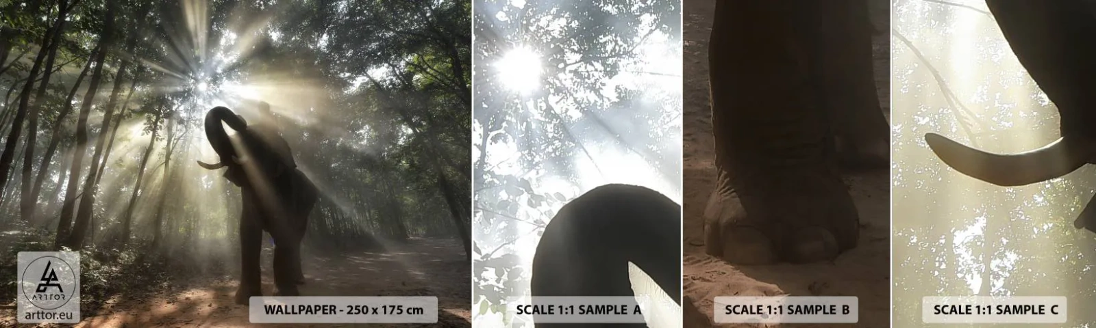 Campione di Fotomurale Adesivo Deluxe Sticker - Sotto una stella fortunata - Paesaggio, Elefante, Giungla - 100x30 cm