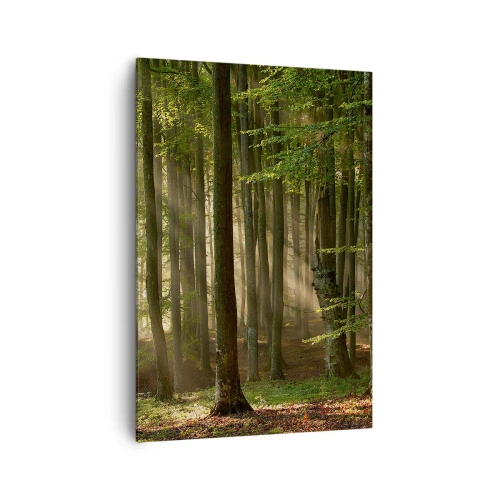 Quadro su tela - Stampe su Tela - Raggi di sole che penetrano attraverso gli alberi nella foresta - 70x100cm - Raggiante in un mattino di primavera - Decorazione murale moderna per soggiorno e camera da letto ARTTOR