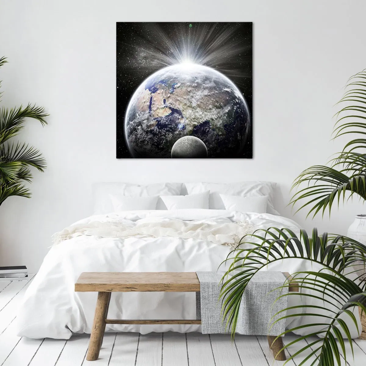 Quadro su tela - Stampe su Tela - In pieno splendore - 70x70 cm