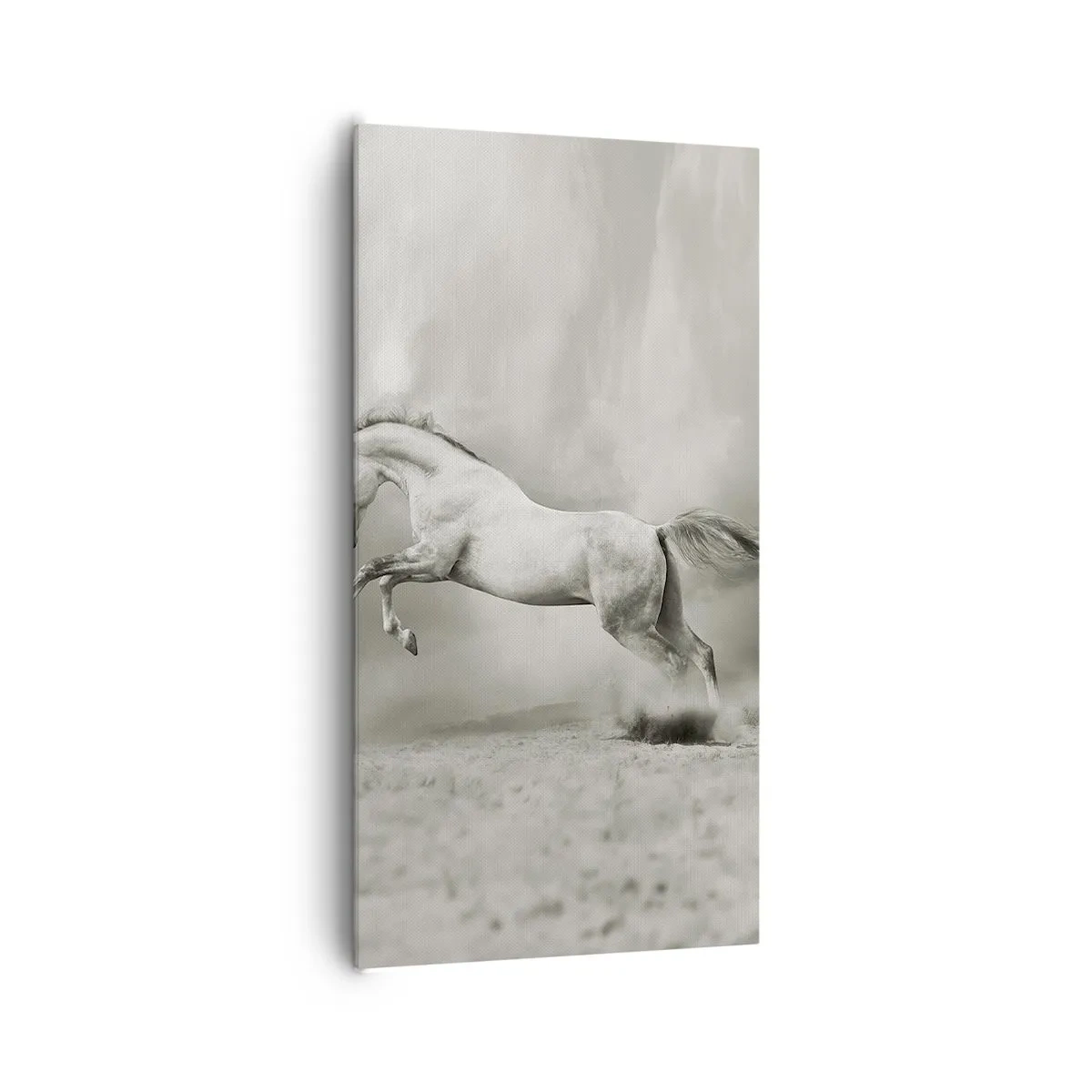 Quadro su tela - Stampe su Tela - Tra la veglia e il sonno, - 65x120 cm