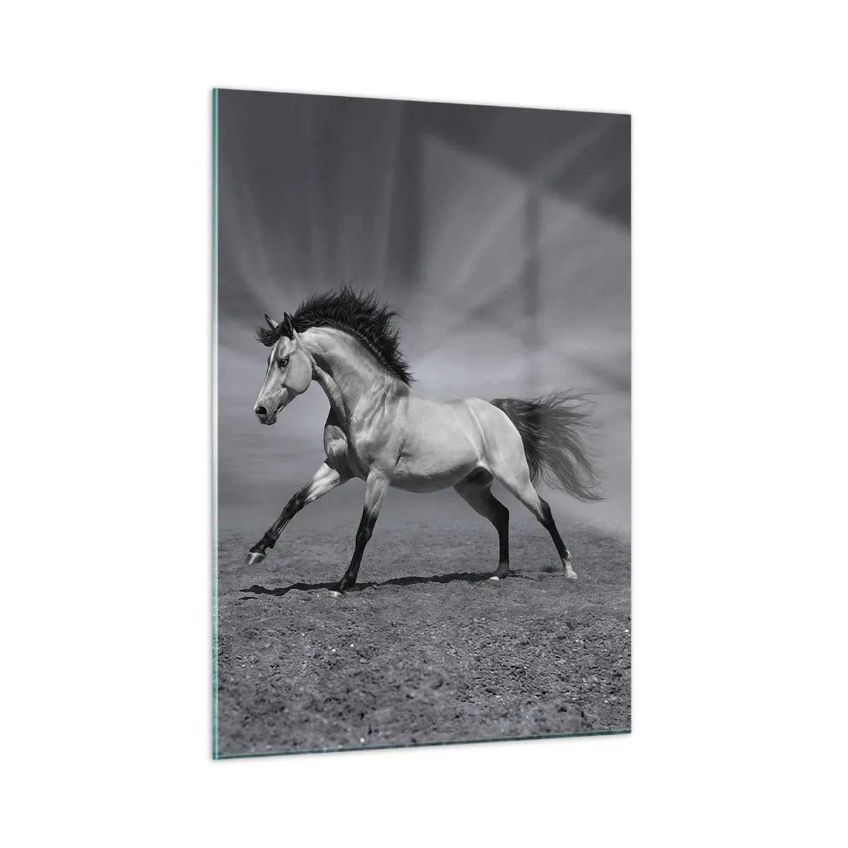Quadro su vetro - Una foto in bianco e nero di un cavallo al galoppo in un campo aperto. - 50x70cm - Nato per affascinare - Decorazione murale moderna per soggiorno e camera da letto ARTTOR