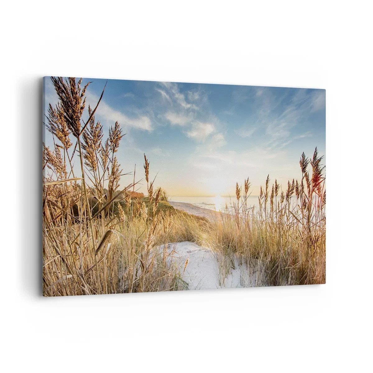 Quadro su tela - Stampe su Tela - Una spiaggia pittoresca con erba e il sole al tramonto - 100x70cm - Spiaggia del nord - Decorazione murale moderna per soggiorno e camera da letto ARTTOR