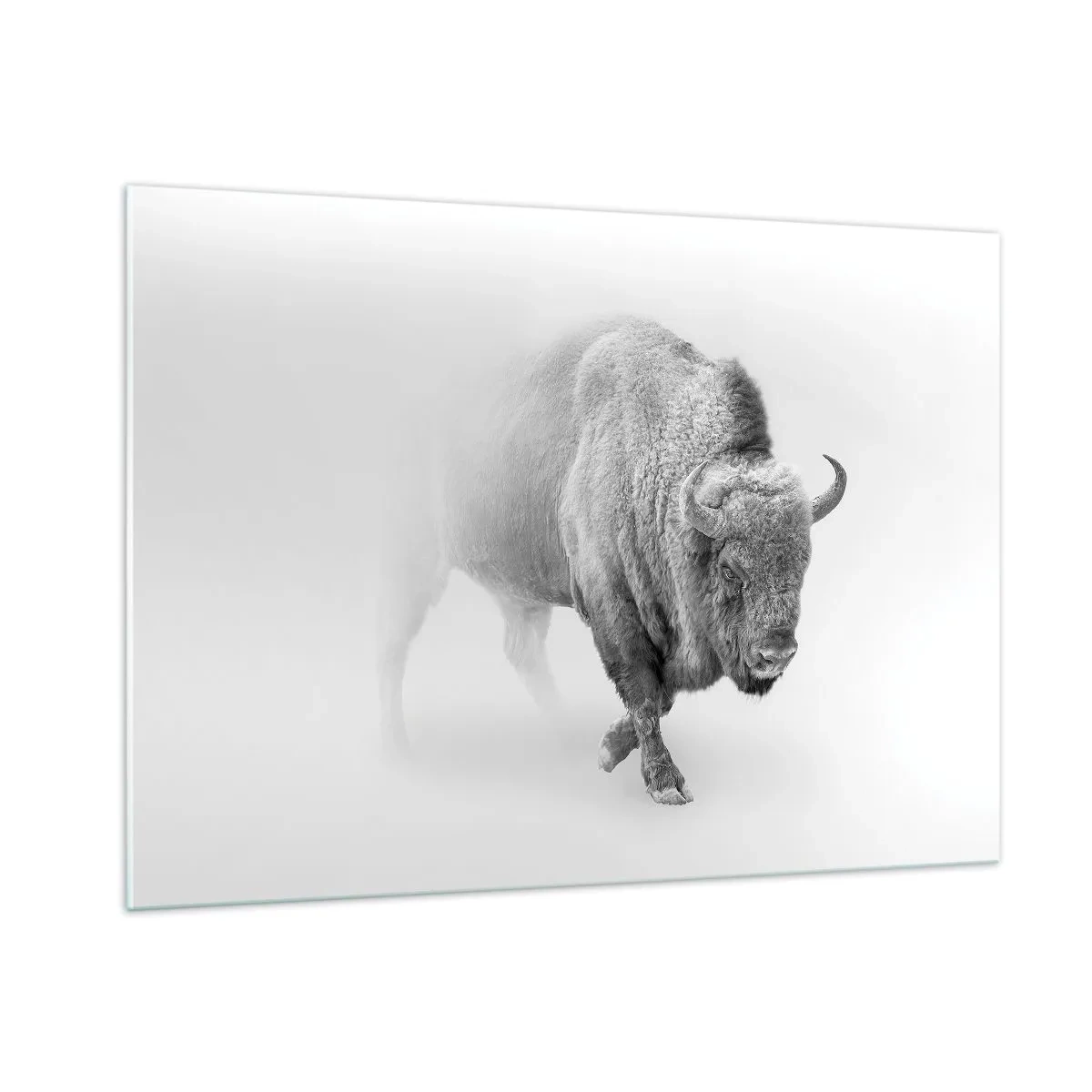 Quadro su vetro - Illustrazione in bianco e nero di un maestoso bisonte - 100x70cm - Il re della prateria - Decorazione murale moderna per soggiorno e camera da letto ARTTOR