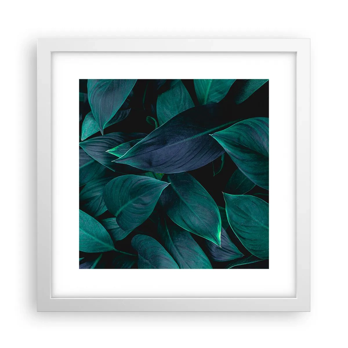 Poster in cornice bianca - Il verde puro - 30x30 cm