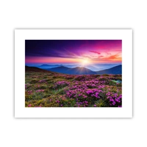 Poster - Il profumo dei fiori freschi del campo - 40x30 cm