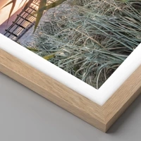 Rovere chiaro
