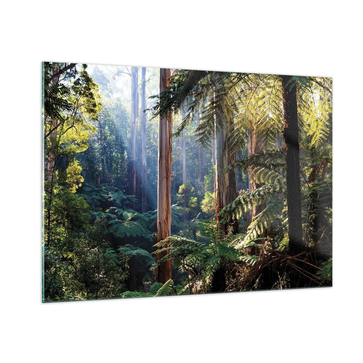 Quadro su vetro - Foresta tropicale verde con raggi di sole - 100x70cm - La favola del bosco - Decorazione murale moderna per soggiorno e camera da letto ARTTOR