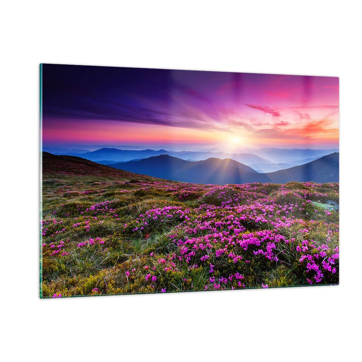 Quadro su vetro - Paesaggio montano con brughiera al tramonto - 120x80cm - Il profumo dei fiori freschi del campo - Decorazione murale moderna per soggiorno e camera da letto ARTTOR