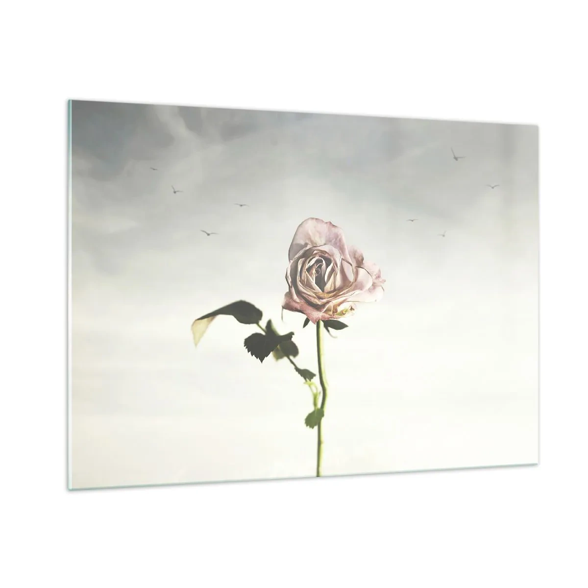 Quadro su vetro - Una rosa delicata contro il cielo con uccelli in volo - 100x70cm - Il benvenuto alla primavera - Decorazione murale moderna per soggiorno e camera da letto ARTTOR