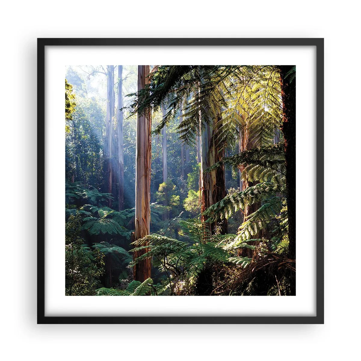 Poster in cornice nera - La favola del bosco - 50x50 cm