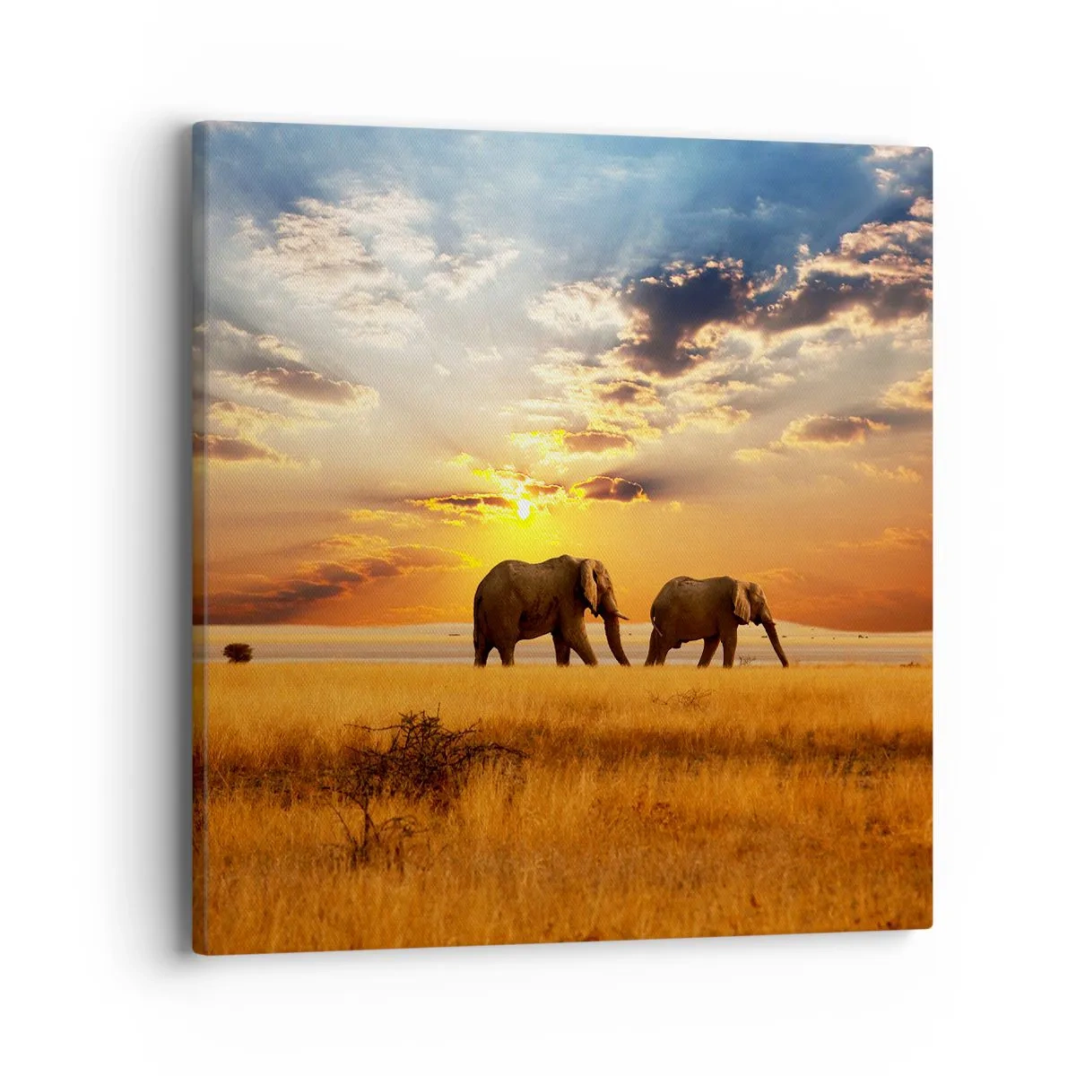 Quadro su tela - Stampe su Tela - Passeggiata familiare - 40x40 cm