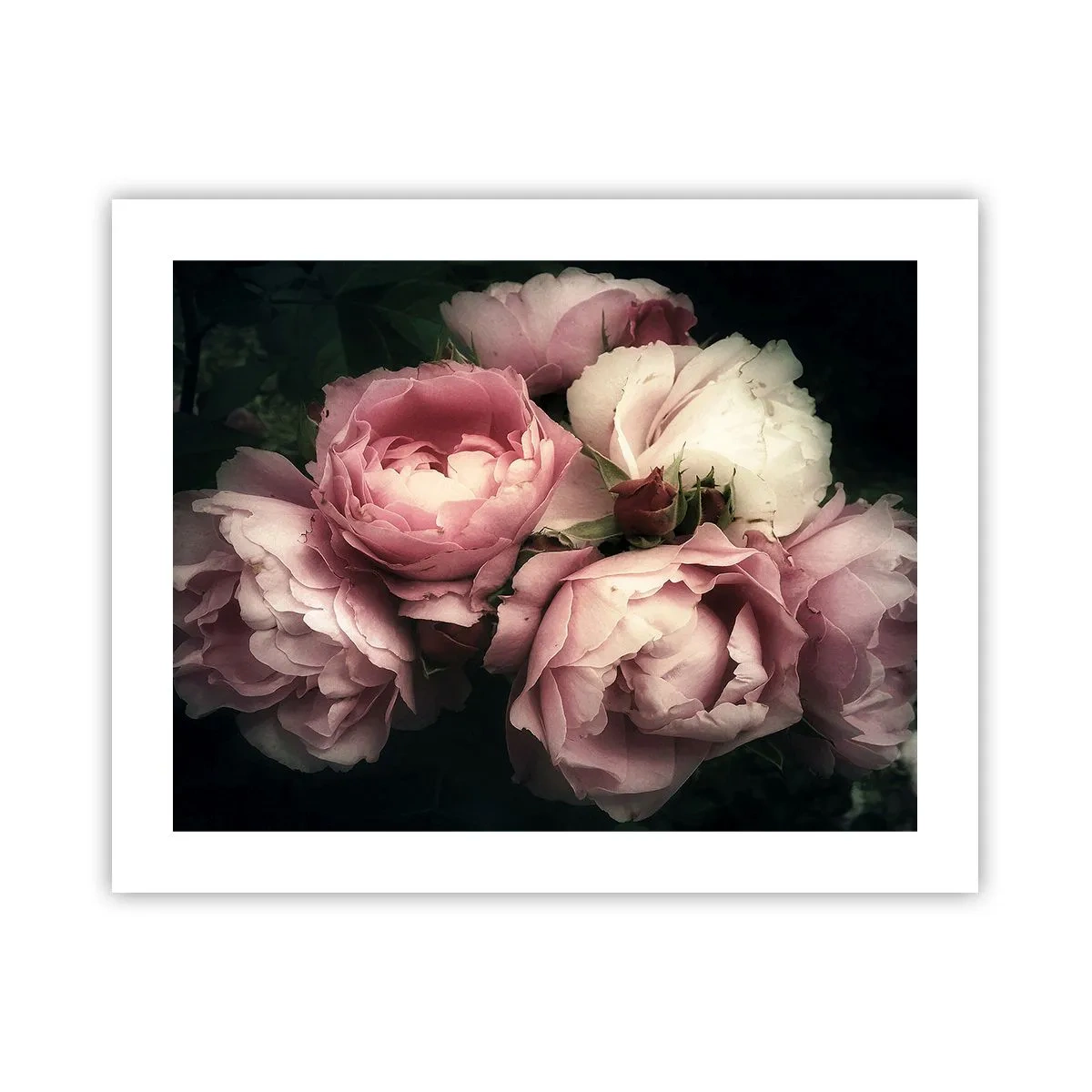 Poster - Il fascino della Belle Époque - 50x40 cm