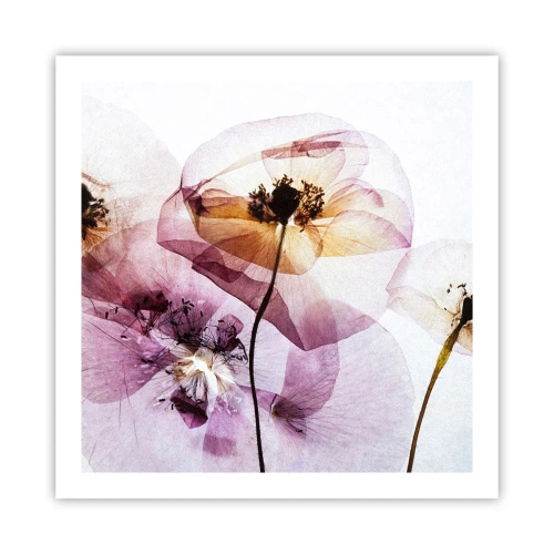 Poster - Fiori trasparenti - 60x60 cm