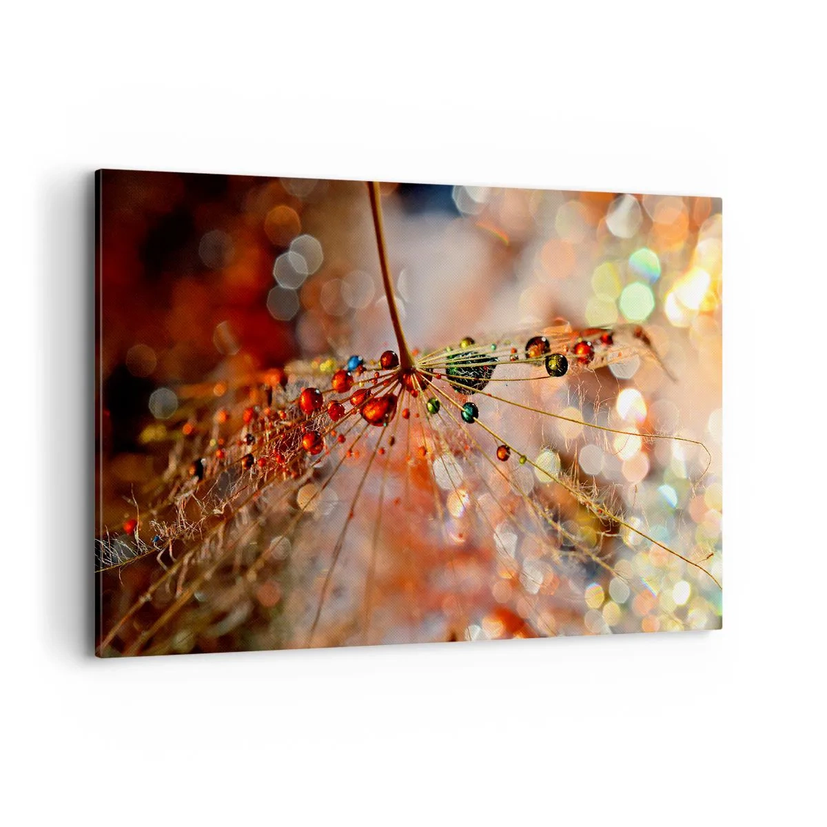 Quadro su tela - Stampe su Tela - Macrofotografia di una goccia d'acqua su una pianta delicata - 120x80cm - Posate sulla ragnatela - Decorazione murale moderna per soggiorno e camera da letto ARTTOR