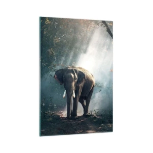 Quadro su vetro - Elefante nella luce della foresta - 70x100cm - Tranquilla passeggiata - Decorazione murale moderna per soggiorno e camera da letto ARTTOR