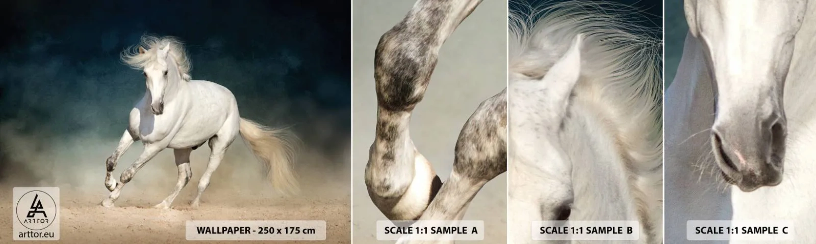 Campione di Fotomurale Adesivo Deluxe Sticker - Libertà allo stato puro - Cavallo, Animale, Bianco - 100x30 cm