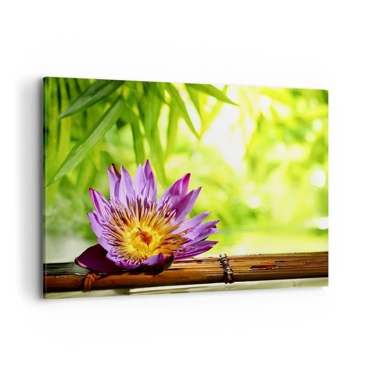 Quadro su tela - Stampe su Tela - Fiore di loto viola su uno sfondo di foglie di bambù verdi - 100x70cm - Al sole dell'Asia - Decorazione murale moderna per soggiorno e camera da letto ARTTOR