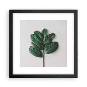 Poster in cornice nera - Il disegno della natura stessa - 30x30 cm