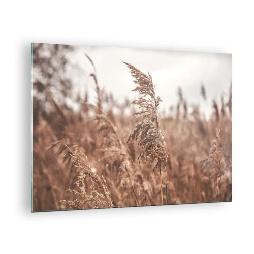 Quadro su vetro - Erbe secche nel vento nella luce autunnale della natura - 70x50cm - Nei campi è già autunno - Decorazione murale moderna per soggiorno e camera da letto ARTTOR