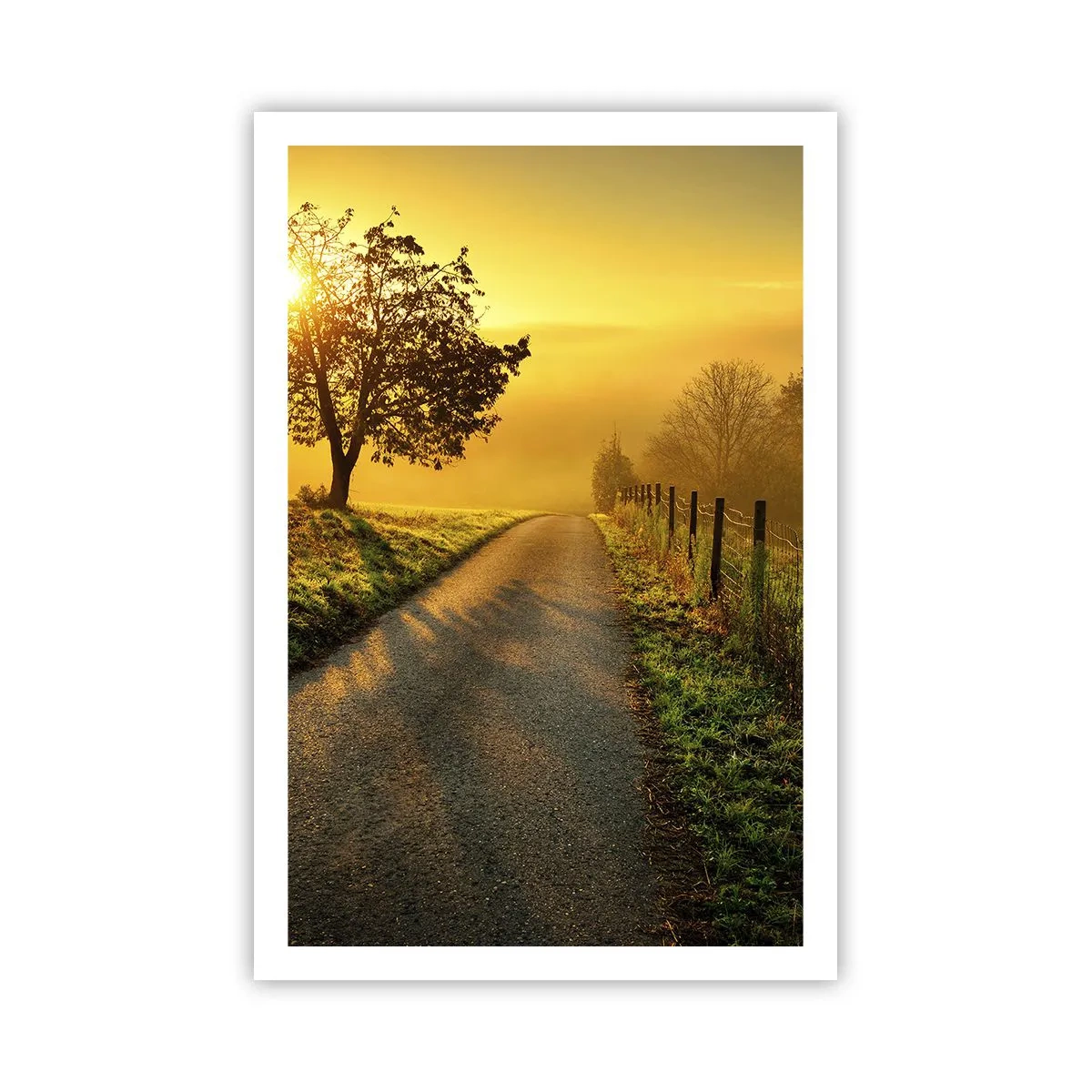 Poster - Pomeriggio di miele - 61x91 cm