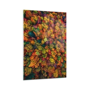 Quadro su vetro - Chiome di alberi colorati nella tavolozza autunnale - 70x100cm - Il bouquet degli alberi d'autunno - Decorazione murale moderna per soggiorno e camera da letto ARTTOR